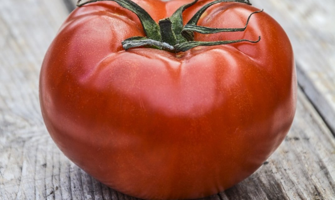 Co Ile Podlewać Pomidory Drozdzami?