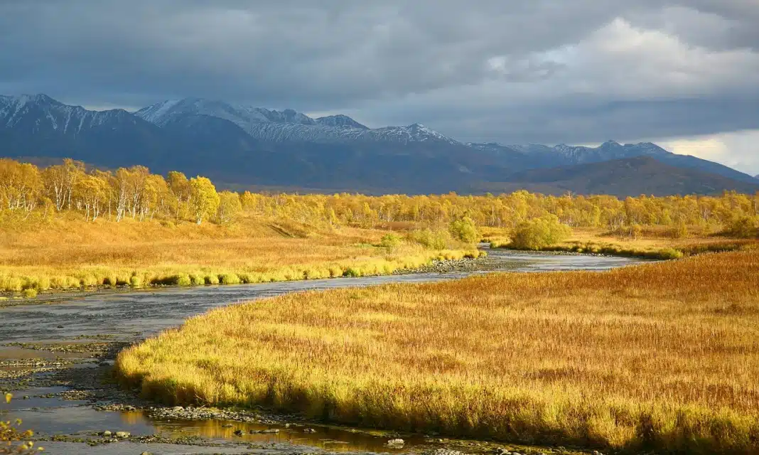 Jak Jest Po Hiszpańsku Słaby Zakręt?