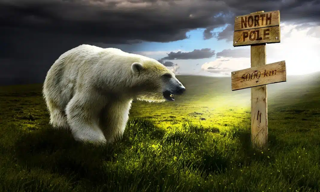 Jak obliczyć pole podstawy graniastosłupa?