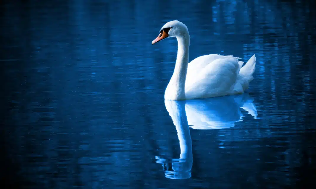 Jak odmierzyć 50 ml wody?