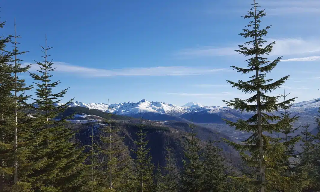 Jak samemu pobrać wymaz z pochwy na GBS?