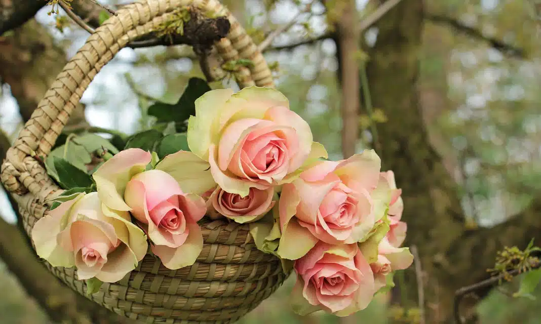 Jak udekorować stół na 18 urodziny?