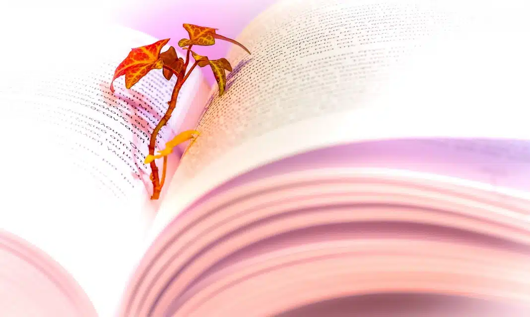 Jak Wprowadzić Kontekst Do Rozprawki?