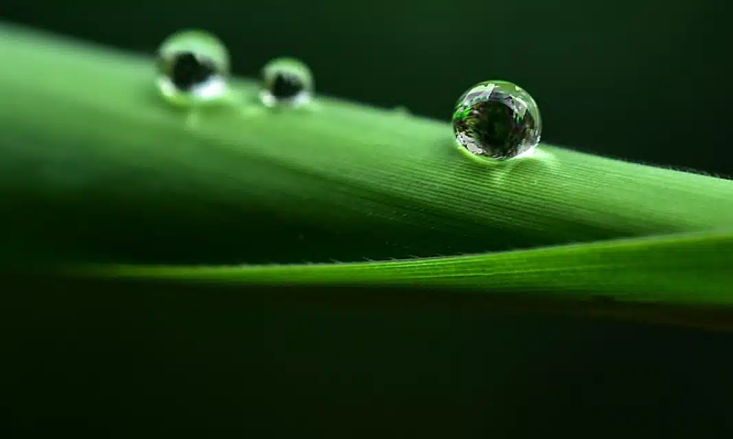 Jak zresetować sterowniki karty graficznej?