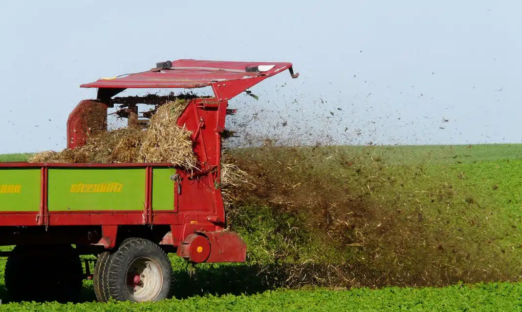 Jak zrobić płynny nawóz z obornika granulowanego?