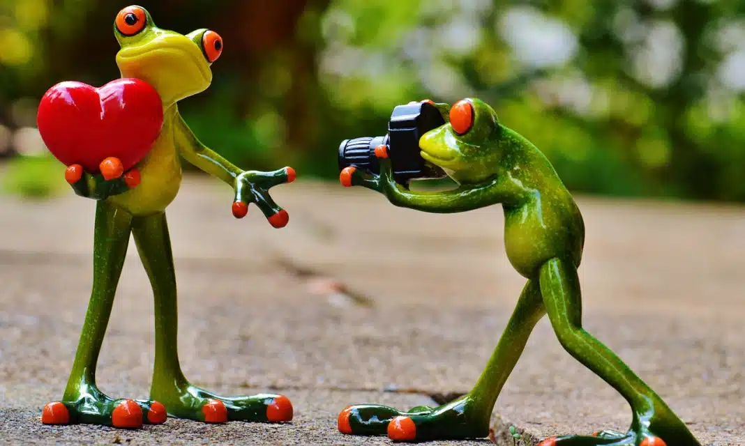 Jakie trzeba mieć wykształcenie żeby otworzyć Żabkę?