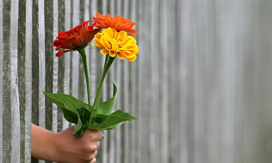 M Jak Milosc Kiedy Nowe Odcinki?