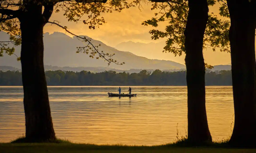 Mrożona Kostka Z Mintaja Jak Smażyć?