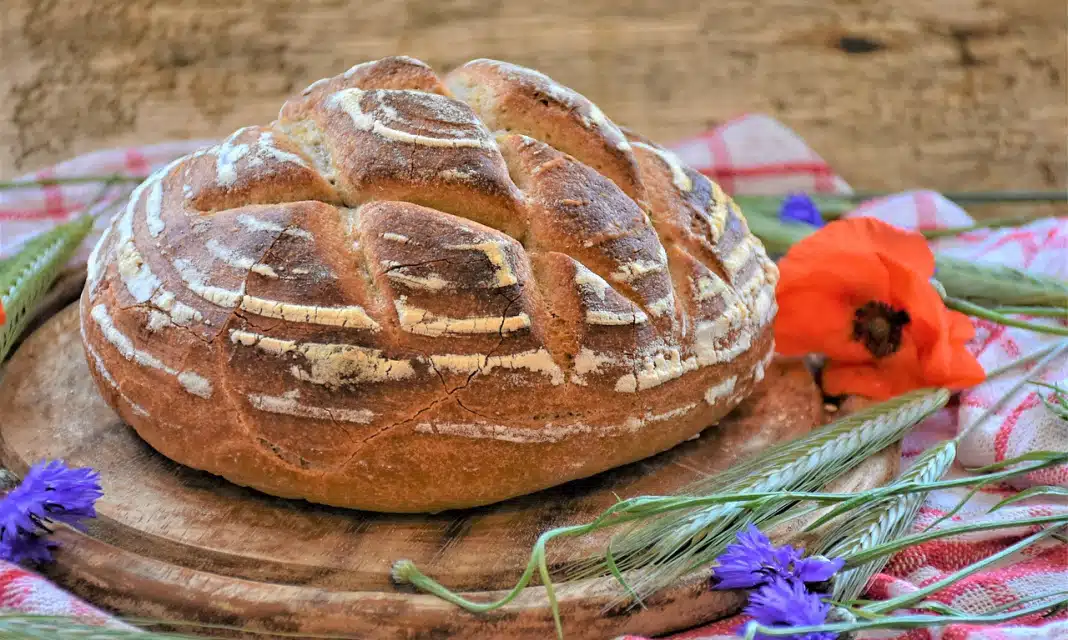 Płyta indukcyjna amica jak włączyć?