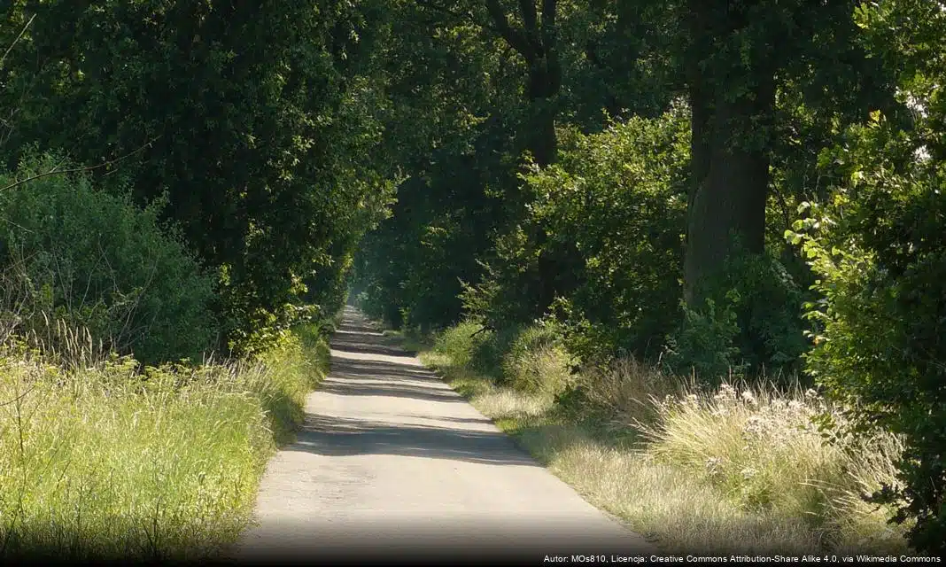 Ostrzeżenie dotyczące stosowania środków ochrony roślin z fosforekiem glinu
