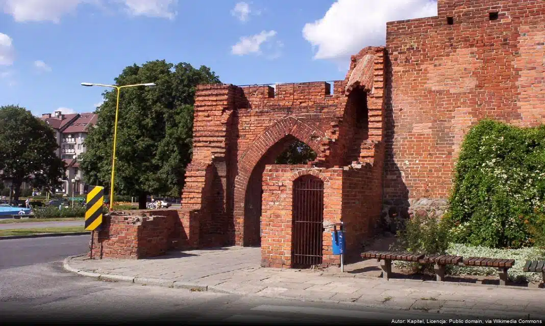 Nowe linie komunikacyjne w Pyrzycach od stycznia 2025 roku