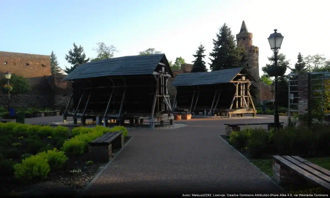 Konsultacje projektu programu współpracy Gminy Pyrzyce z organizacjami pozarządowymi na 2026 rok