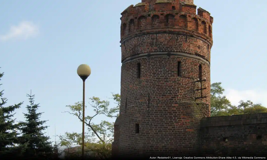 Wsparcie kryzysowe w Pyrzycach – Gminny Punkt Wsparcia