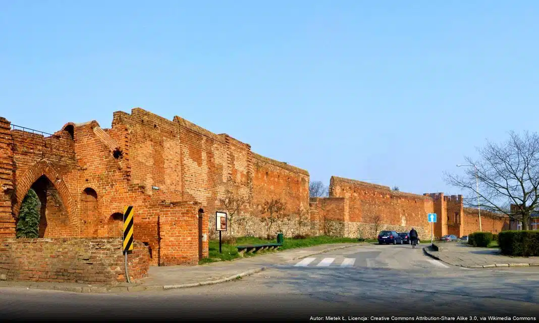 Gminny Punkt Wsparcia w Pyrzycach – Bezpłatna pomoc dla mieszkańców