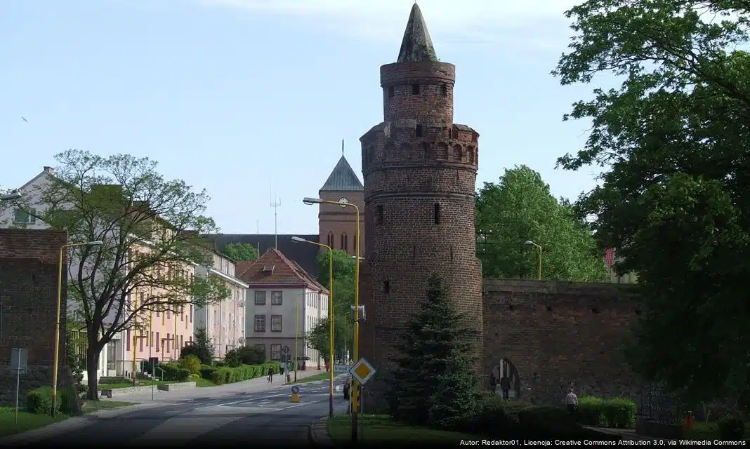 Zebranie Sołectw w Letninie, dotyczące budowy farmy wiatrowej